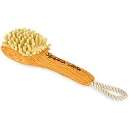 P. L. A. Y. Brush - Dog Toy