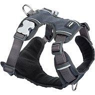 Red Dingo Padded Harness, Grey S 37-52cm - Harness