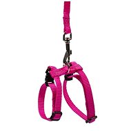 DUVO+ Harness with Leash for Ferrets 15 × 5 × 1.8cm × 1m - Harness