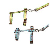 DUVO+ Harness with leash 25-45 × 1cm + 120 × 1cm - Harness