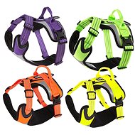 Hurtt Dazzle Harness - Harness