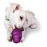 PetSafe® Squirrel Dude - Dog Toy