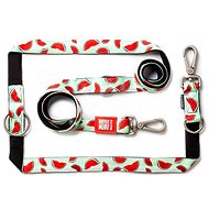 Max & Molly Leash Switch Watermelon - Leash