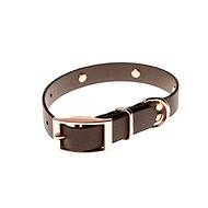 Biothan Collar with Studs -  Brown, Width of 20mm, Circumference of 30cm - Dog Collar