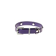 Biothan collar Chaton - violet, width 13 mm, circumference 20 cm - Dog Collar