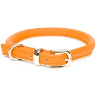 Dogs & Horses Rolled Leather Collar, Orange S - Dog Collar