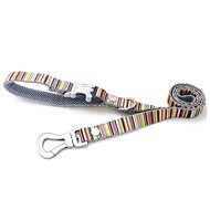 HUGO & HUDSON Coloured Striped Leash 120cm × 1.5cm - Leash
