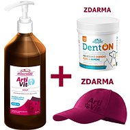 Vitar Veterinae Artivit Syrup 1000ml + DentOn 100g + Bag - Joint Nutrition for Dogs