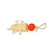 Filipapet Wooden Fetch Toy - Beetle, 20cm - Dog Toy
