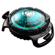 Orbiloc LED collar light turquoise - Collar Light