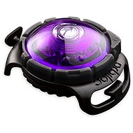 Orbiloc LED collar light purple - Collar Light