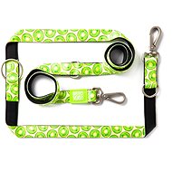 Max & Molly Short Leash Kiwi - Leash