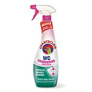CHANTE CLAIR Candeggina 625 ml - Toilet Cleaner