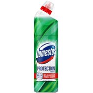 DOMESTOS Protection Eucalyptus & Wild Mint 700 ml - Disinfectant