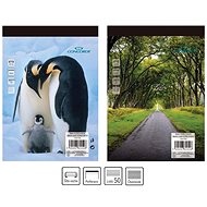 CONCORDE A6 Square, 50 sheets - Notepad