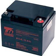T6 Power NP12-45, 12 V, 45 Ah - UPS Batteries