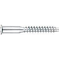 CONNEX Furniture screw confirmed galvanized 5.0x40 mm, TX, 200 pieces - Self-Tapping Screws