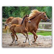 Coolkousky Cleaning Cloth Horses - Cloth