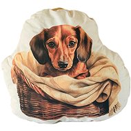 Coolkousky Pillow with dog pocket - Pillow