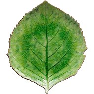 Costa Nova Hydrangea Leaf Riviera Servírovací talíř 21,8 × 19,1 cm, světle zelený - Plate