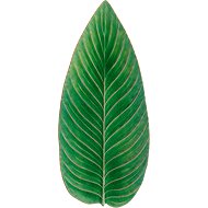 Costa Nova Strelitzia Leaf Riviera Serving Plate 39.8 × 17.2cm, Light Green - Plate