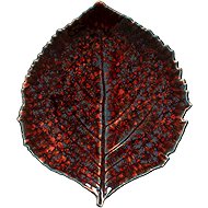 Costa Nova Riviera Hydrangea Leaf Serving Plate 21.8 × 19.1 cm, Vigne Red - Plate