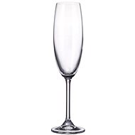 CRYSTAL BOHEMIA Glass for sparkling wine 6 pcs 220 ml COLIBRI decorated - Glass