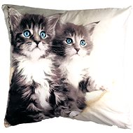 TopCushions 3D pillowcase 45×45 - Kittens - Bed Linen