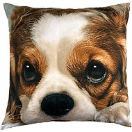 TopCushions 3D pillowcase 45×45 - Pet - Bed Linen