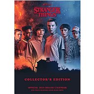 DANILO Netflix: Stranger Things, deluxe kalendář - Wall Calendar
