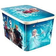 Curver Box AMSTERDAM L Frozen - Aufbewahrungsbox
