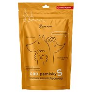Cure Point CBD Recovery S - Dog Treats