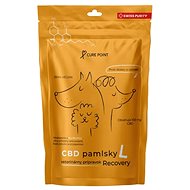 Cure Point CBD Recovery L - Dog Treats