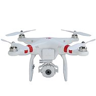 DJI F302 Phantom FC40  - Drone
