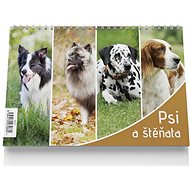 Vikpap Stolní kalendář Psi a štěňata 2023 - Stolní kalendář