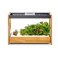 Click and Grow 25, black - Smart Flower Pot