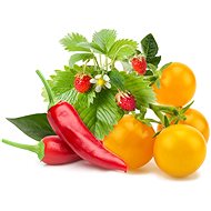Click and Grow Mix of fruit and vegetables - Seedling Planter