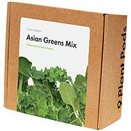 Click and Grow Mix Asian Kitchen - Seedling Planter