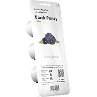 Click and Grow Schwarzes Stiefmütterchen - Setzling