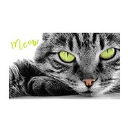 Carbotex Baby towel Oskar the cat 30 × 50 cm - Children's Bath Towel