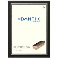 DANTIK frame 29,7 × 42, TAIGA black plexi clear - Photo Frame
