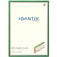 DANTIK frame 29,7 × 42, EVOQUE green plexi clear - Photo Frame