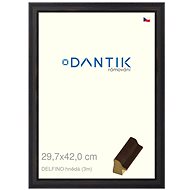DANTIK frame 29,7 × 42, DELFINO brown plexi clear - Photo Frame