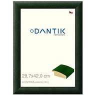 DANTIK frame 29,7 × 42, LEDVINKA green plexi clear - Photo Frame