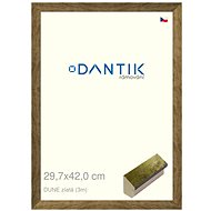 DANTIK frame 29,7 × 42, DUNE gold plexi clear - Photo Frame