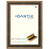DANTIK frame 29,7 × 42, TOOTH small gold black plexi clear - Photo Frame