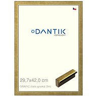 DANTIK frame 29,7 × 42, GRAFIC gold high plexi clear - Photo Frame