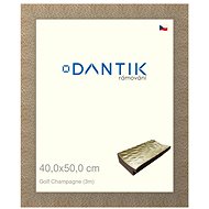 DANTIK frame 40 × 50, Golf champagne plexi clear - Photo Frame