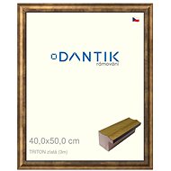 DANTIK frame 40 × 50, TRITON gold plexi clear - Photo Frame