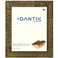DANTIK frame 40 × 50, Dora Gold plexi clear - Photo Frame